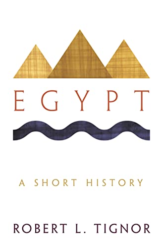 Egypt: A Short History. With a new afterword by the author von Princeton University Press